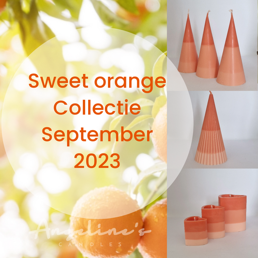 Sweet Orange Collectie - september 2023