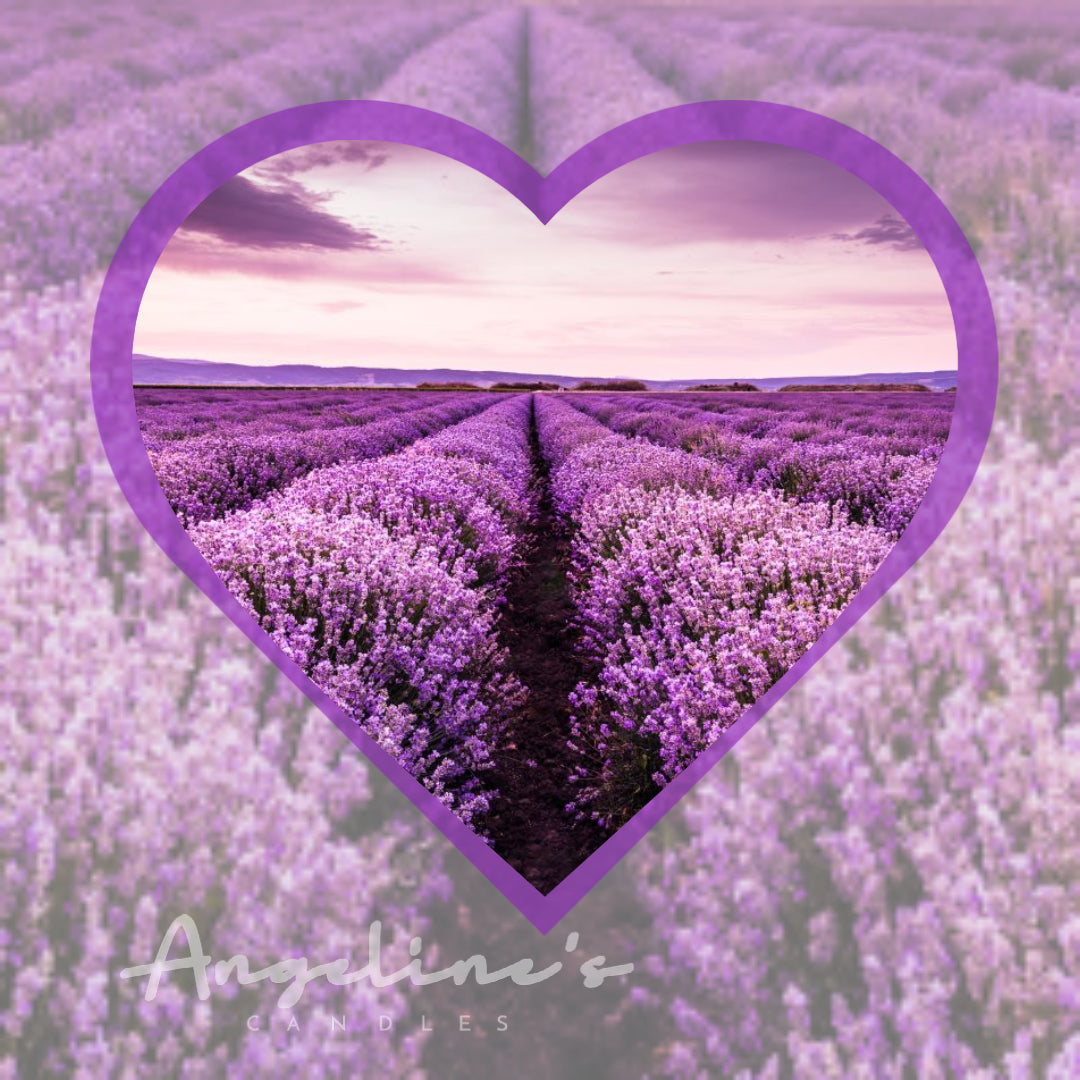 Ja, ik hou van Lavendel